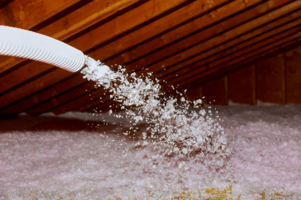 Best Garage Insulation Installation  in Port Aransas, TX