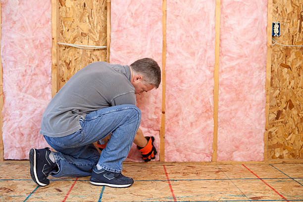 Best Affordable Insulation Services  in Port Aransas, TX